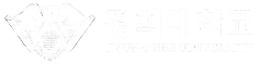 Logo 9
